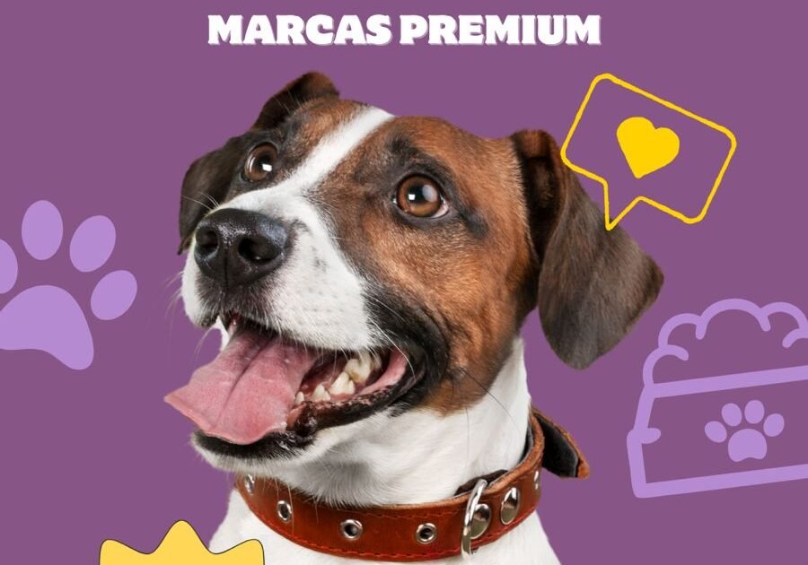 66aab1cc-59e5-48b8-b2eb-6a77b3c43f3a