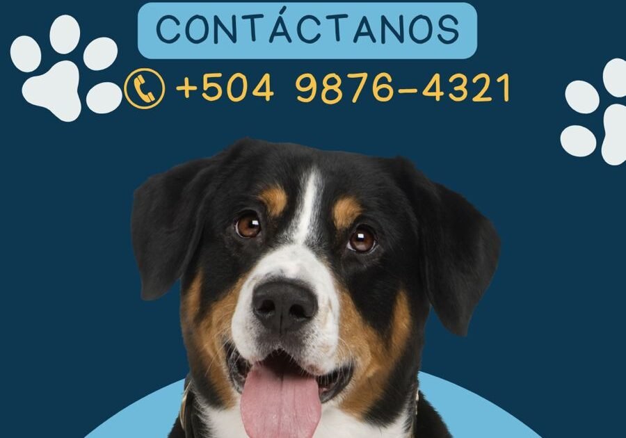 935c7e30-f89c-45b1-a498-1c37055dee5e