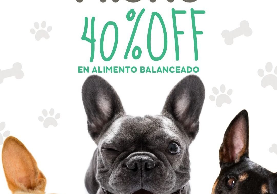 c47688f1-6e9b-4250-b847-f78ecca2433a