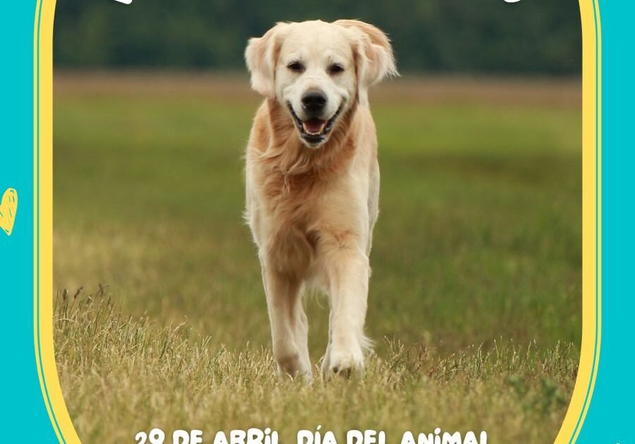 d29aa358-45d7-49ed-9f83-63098f464307