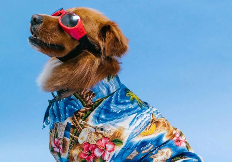 ea563962-52f3-48cd-9b1f-1325eb6a38b8